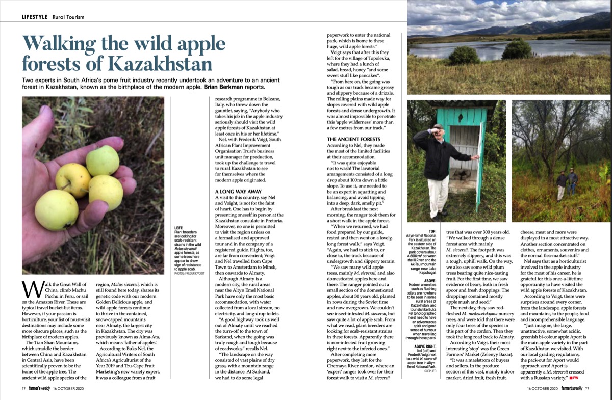 Walking the Wild Apple Forests of Kazakstan